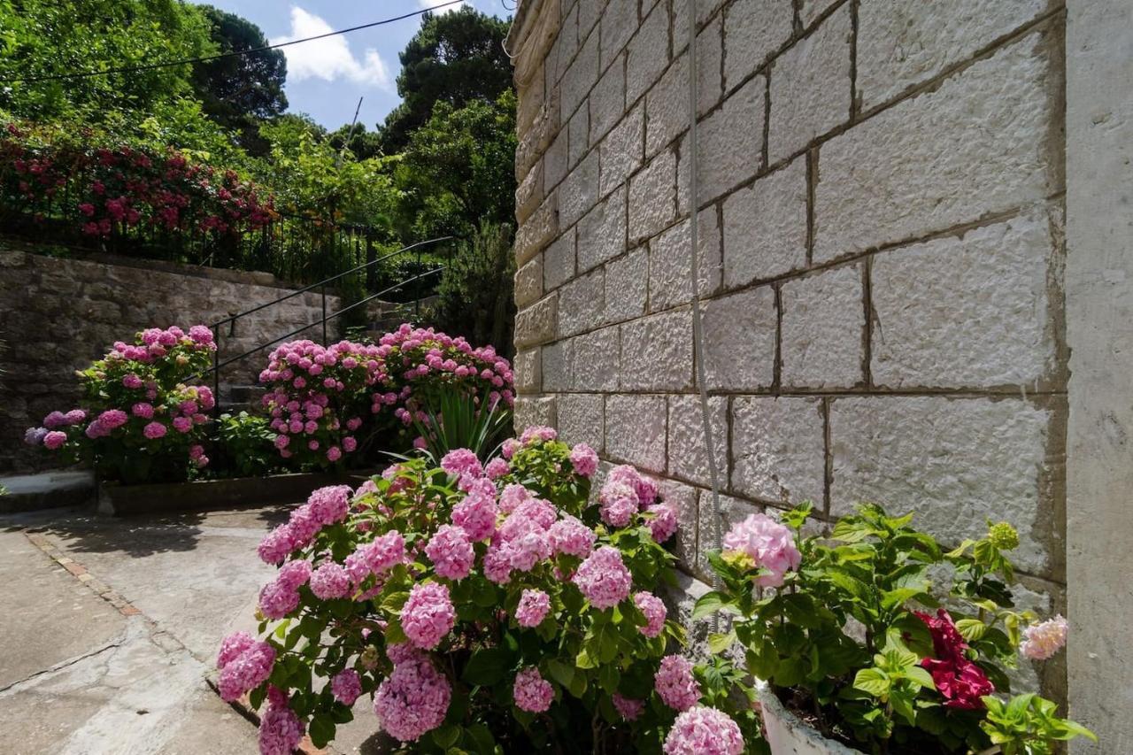 Apartment Djivo Dubrovnik Eksteriør billede