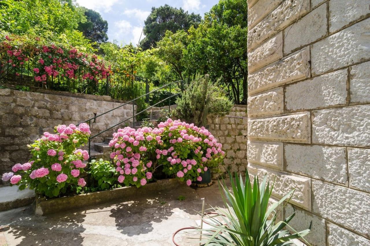 Apartment Djivo Dubrovnik Eksteriør billede